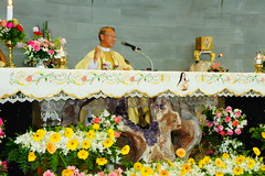 DSC03260