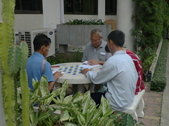 P9085653