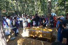 DSC05220