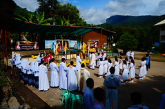 DSC04387