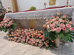 cm (8)