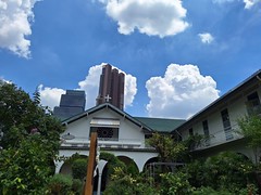 cm (1)