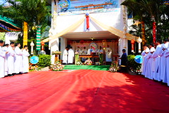 DSC03384