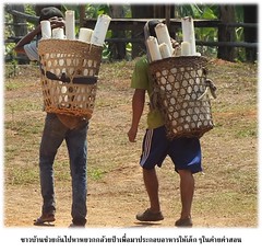 รูปภาพ13