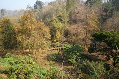 DSC02719