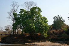 DSC02759