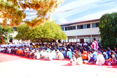 DSC03335