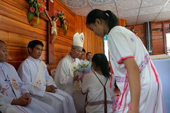 DSC01142 - Copy