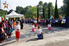 DSC07865