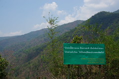 DSC07139