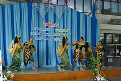 cmd (28)