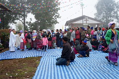 DSC08613 - Copy
