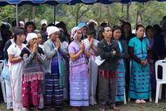 DSC00918 - Copy