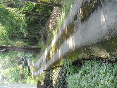 CIMG0265