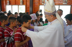 DSC01216 - Copy