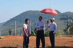 DSC07106