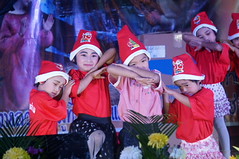 DSC07382