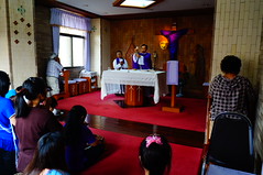DSC05550