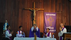 DSC00534