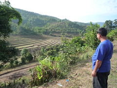 P1100392