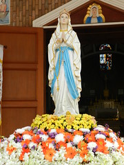 DSCN1154
