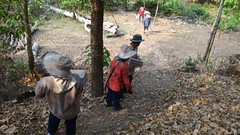 DSC00706