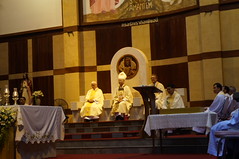 DSC05990