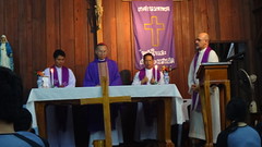 DSC00520