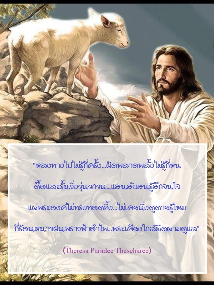 sheep sheep